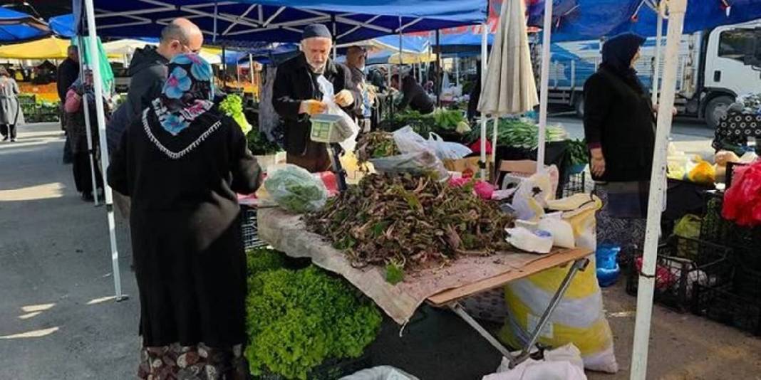 Baharda kendi kendine yetişiyor, pazarın gözdesi oluyor: Kilosu 100 TL’den alınıyor 3